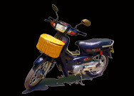 Our Tours