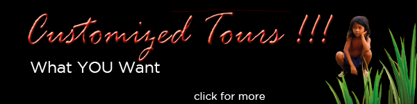 Web Banner Tours Customize Tours